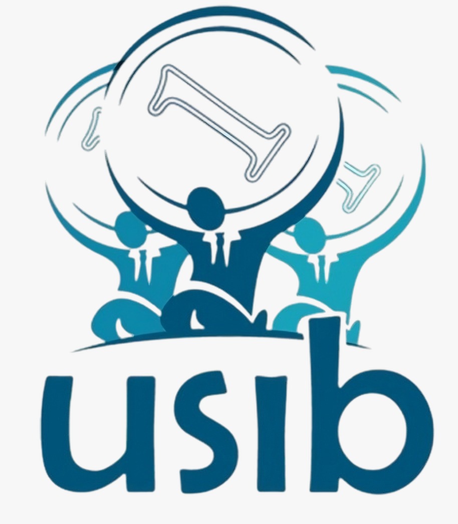 USIB Logo
